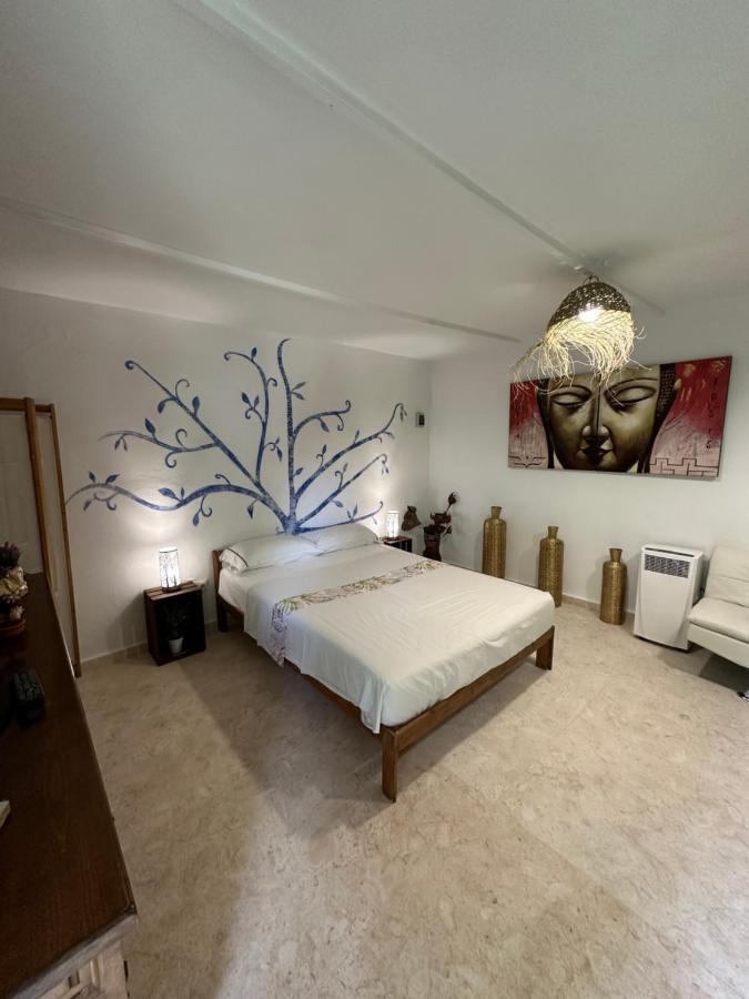 New Paradaise Art Gallery Hotel Xativa Luaran gambar