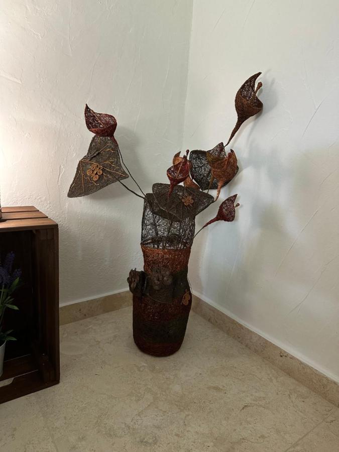 New Paradaise Art Gallery Hotel Xativa Luaran gambar