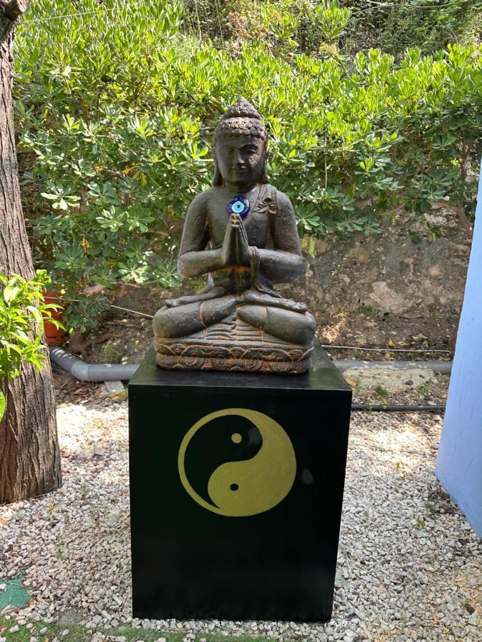 New Paradaise Art Gallery Hotel Xativa Luaran gambar