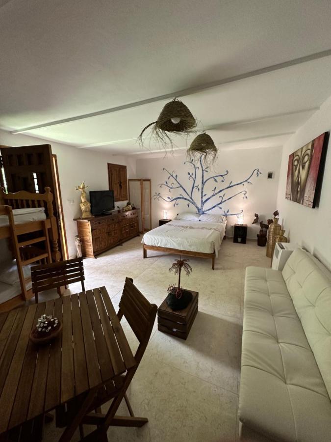 New Paradaise Art Gallery Hotel Xativa Luaran gambar