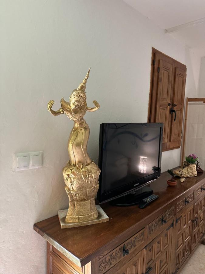 New Paradaise Art Gallery Hotel Xativa Luaran gambar