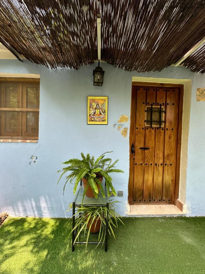 New Paradaise Art Gallery Hotel Xativa Luaran gambar